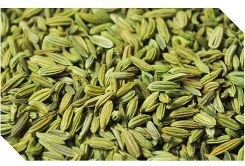 Raw Natural Green Fennel Seeds, Packaging Size : 10 Kg