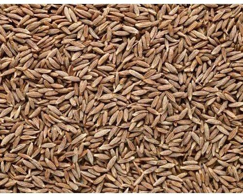 Brown Natural Cumin Seeds, For Food, Packaging Size : 10 Kg