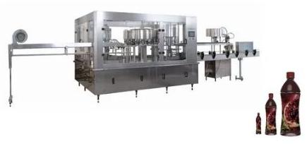 Raj Automatic 440 Pomegranate Juice Production Line