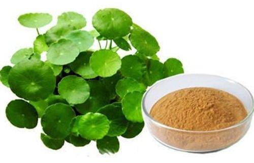 Brown Bacopa Extract, For Medicinal, Food Additives, Style : Dried