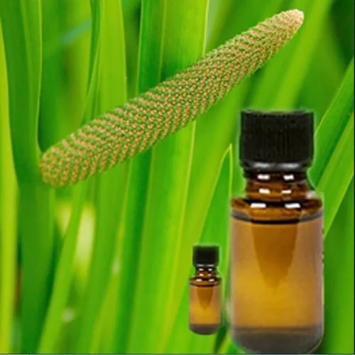 Yellow Liquid Calamus Essential Oil, For Pharma, Food, Purity : 100%