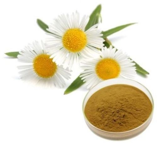 Powder Chamomile Extract, Purity : 100%