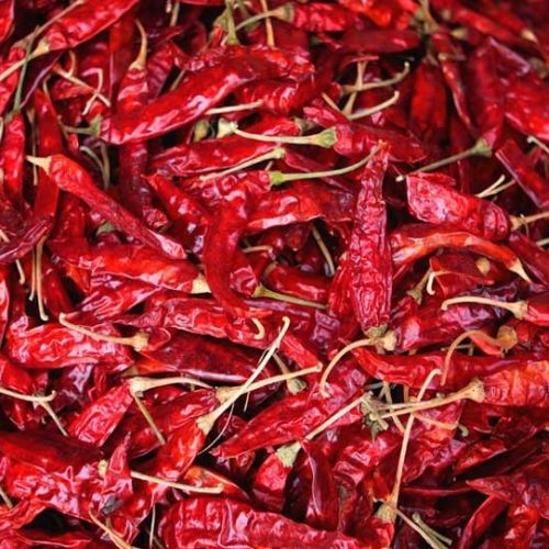 Raw Organic Dried Red Chilli, For Cooking, Certification : FSSAI Certified