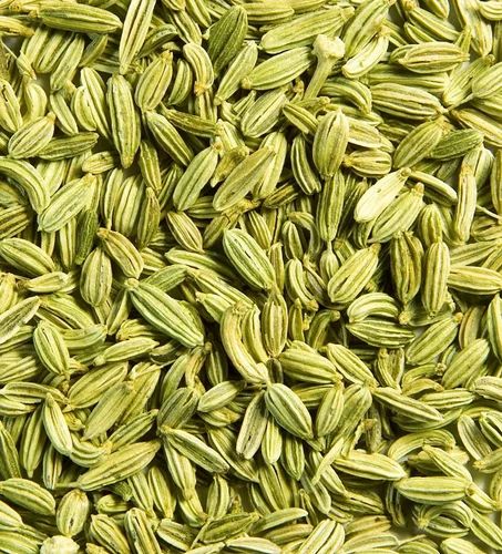 Green Raw Organic Fennel Seeds, For Cooking, Certification : FSSAI Certified