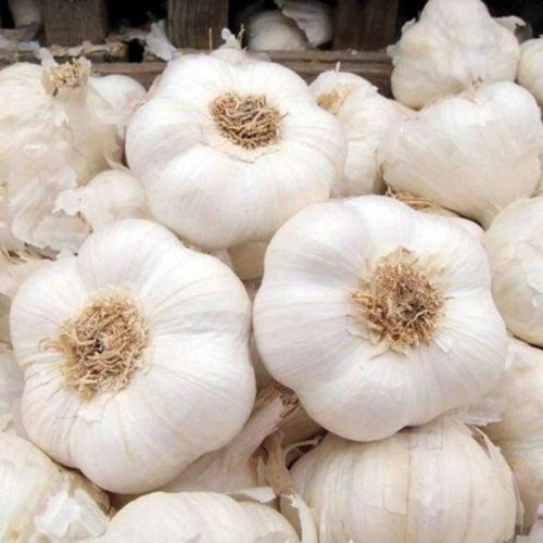 White Organic Fresh Garlic, For Cooking