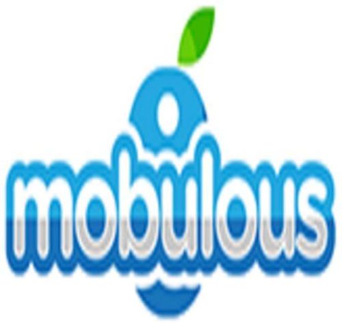 Mobile App Development Service, Style : Modern