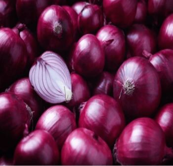 Onion, Shelf Life : 15 Days