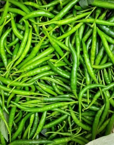 Fresh Green Chilli, For Cooking, Packaging Type : Net Bag