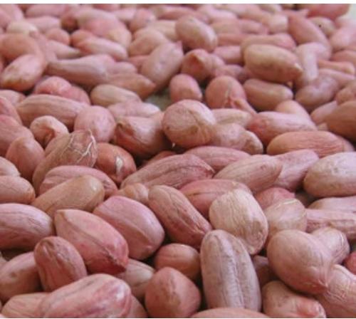 Roasting Natural Common Peanut, For Direct Consumption, Home, Industrial, Restaurant, Certification : FSSAI Certified