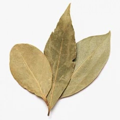 Green Leaves 1836 Bay Leaf, For Cooking, Packaging Type : PP Bag