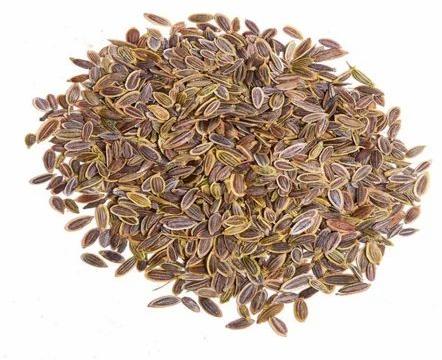 Dark Brown Raw Natural 1836 Dill Seeds, For Cooking, Spices, Specialities : Grassy Flavour To Dishes