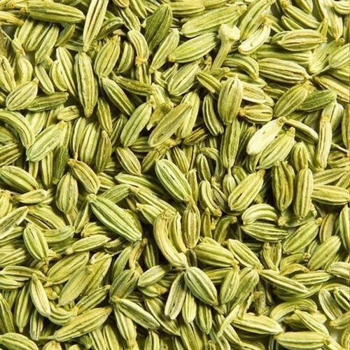 Raw Natural 1836 Fennel Seeds, Packaging Type : PP Bag
