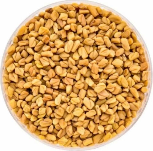 Yellow 1836 Fenugreek Seeds, For Cooking, Packaging Type : PP Bag