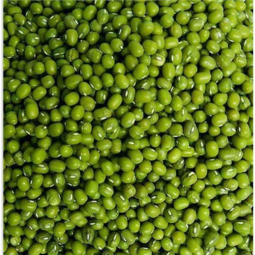 Natural 1836 Green Moong, For Used In Salads, Sprouted Dishes, Curries, Packaging Type : PP Bag