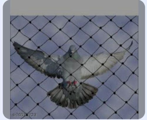Nylon Anti Bird Net For Building Constructional