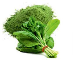 Divine Delicacy Natural Vacuum Dehydrated Spinach Leaves, For Cooking, Hotels, Packaging Size : 1kg