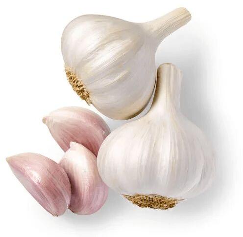 Organic Garlic, For Cooking, Style : Dried