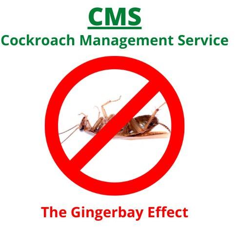 Cockroaches pest control services