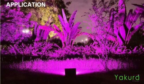 Portable Solar Flood Light 100w Rgb Yakura Solar