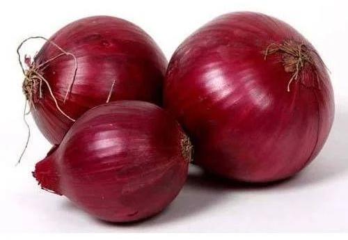 Fresh Red Onion, For Human Consumption, Shelf Life : 7-15days