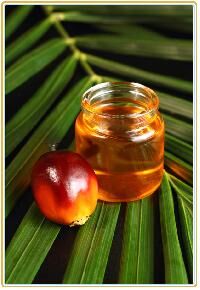 Common Palm Kernel Oil, For Cooking, Feature : Absolutely Fresh, Good Quality, Highly Effective, Nice Fragrance