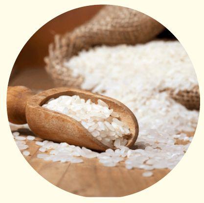 Hard Organic White Rice, For Cooking, Style : Dried