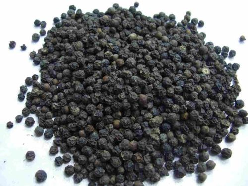 Raw Organic Black Pepper, Grade Standard : Food Grade