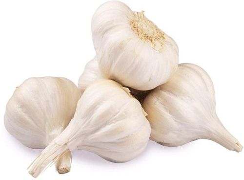 Organic White Garlic, For Cooking, Style : Solid