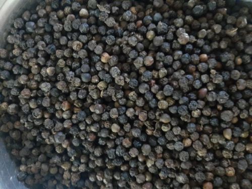 Granules Raw Organic Bulk Black Pepper, For Cooking, Style : Dried