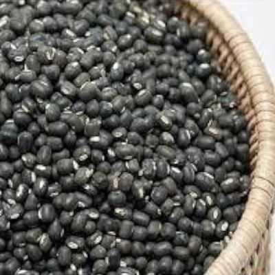 Organic Black Urad Dal, For Cooking, Style : Dried