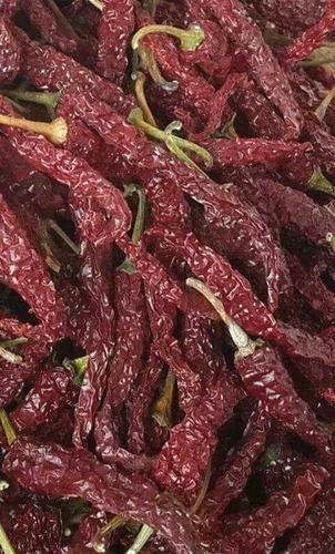 Red Chilli, Packaging Type : Jute Bag