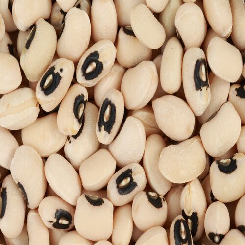 Black Eyed Beans, For Cooking, Certification : FSSAI Certified