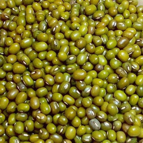 Natural Green Moong Dal, For Cooking, Packaging Type : Plastic Packet