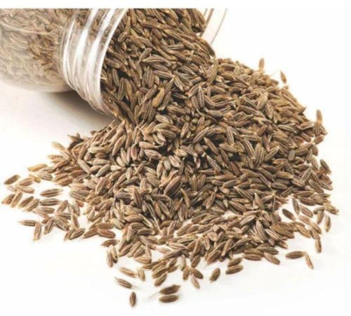 Raw Organic Cumin Seeds, Grade Standard : Food Grade