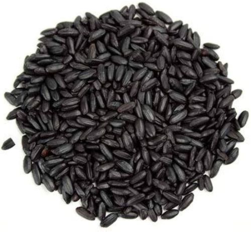 Black Rice, Feature : Low In Fat, High In Protein