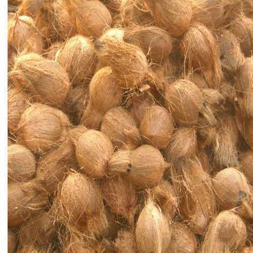 Brown Solid Common Fully Husked Coconut, For Pooja, Cooking, Packaging Type : Jute Bags