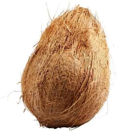 Raw Natural Semi Husked Coconut, For Pooja, Cosmetics, Cooking, Packaging Size : 20Kg