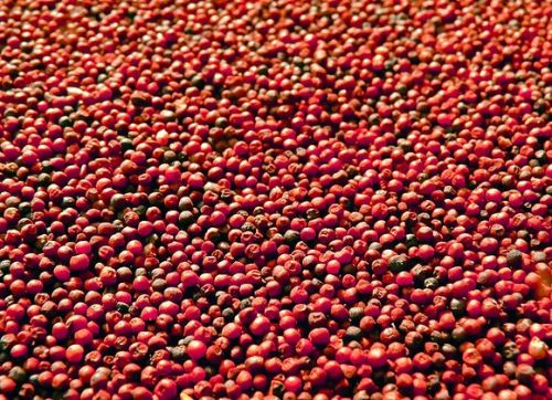 Red Organic Finger Millet Seeds, For Cooking, Cattle Feed, Packaging Type : Packet