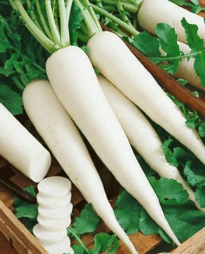 Fresh White Radish, For Salad, Food, Packaging Size : 5 Kg