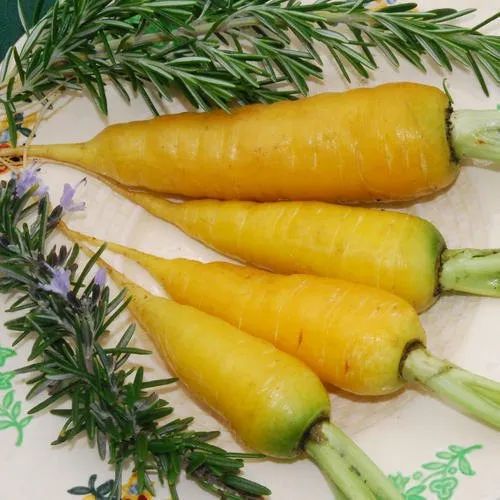 Fresh Yellow Carrot, For Juice, Packaging Size : 5 Kg