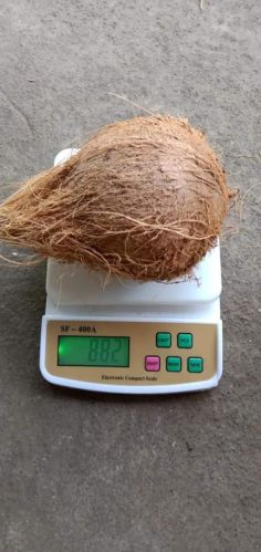 DJ Orange 2 To 3 Kilo Tender Coconuts, Packaging Type : Truck