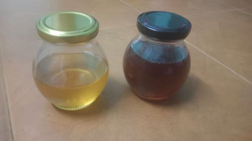 Forestees Litchi Honey, Packaging Type : Glass Bottle