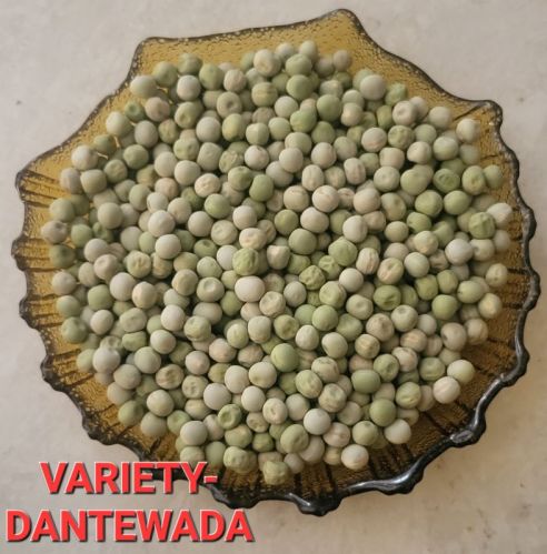 Whole Dantewada Dried Green Peas, For Cooking Use, Shelf Life : 6 Month