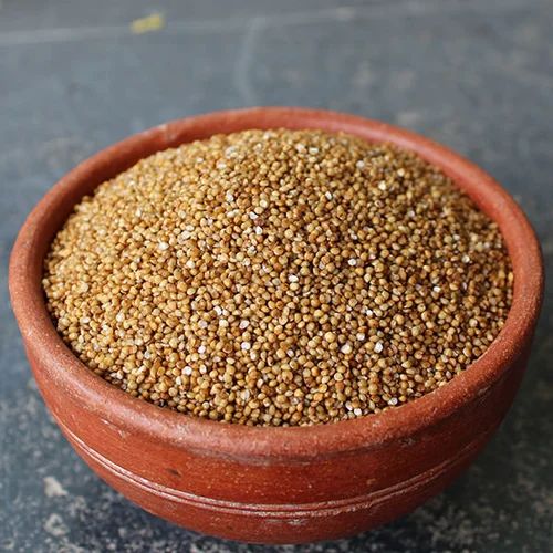 Green Color Vyom Foods Fine Processed Foxtail Millet, For Cooking, Shelf Life : 12months