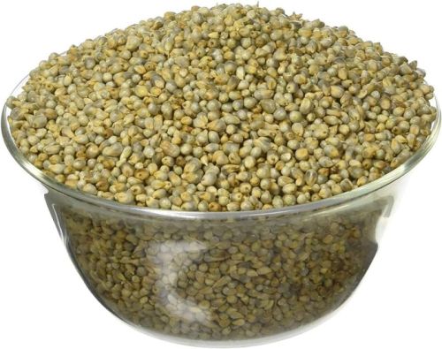 Light Green Natural Whole Bajra, For Cooking, Cattle Feed, Style : Dried