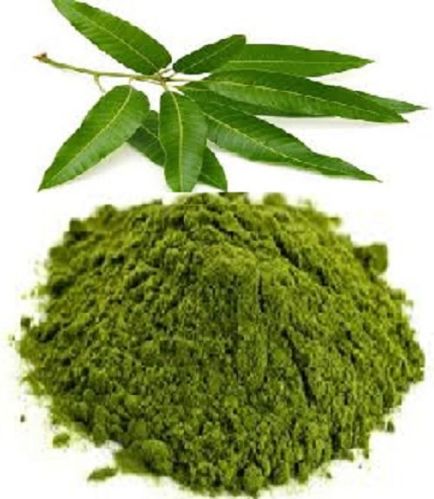 Green Natural Mango Leaves Powder, For Medicines, Style : Dried