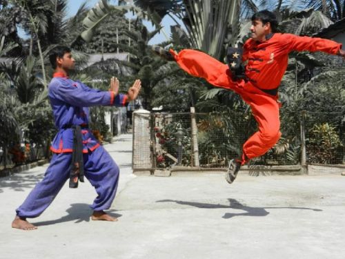 Wu Shu Martial Art Academy