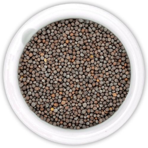 Granules Mustard Seeds, For Cooking, Shelf Life : 6 Month