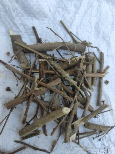 Brown Natural Bala Mool Roots, For Ayurvedic Medicine, Packaging Type : Bag