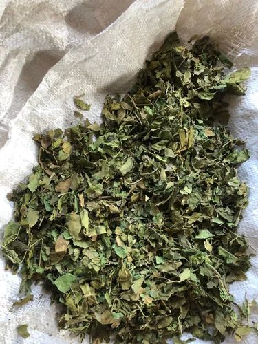 Green Dried Gudmar Leaves, For Blood Sugar, Packaging Type : Loose